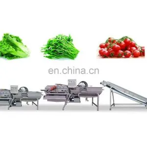 SUS 304/ 316 Commercial Vegetable Cleaning Dehydrating Processing Line With CE thumbnail-5
