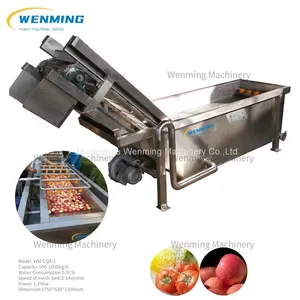 Surfing Type Fruits&Vegetables Washing Machine Connect With Juicer Machine Fruits Washer Juicer Machine thumbnail-1