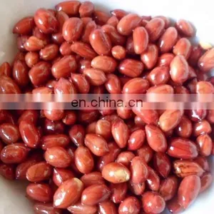 Small Peanut Roaster for Sale/peanut Roaster Machine thumbnail-2
