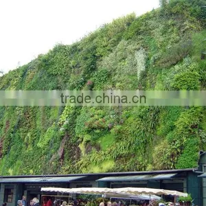Home Decor Hot Selling Products for 2015 Artificial Plastic Green Moss Wall on Sale thumbnail-6