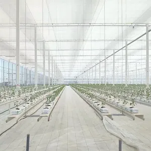 Hot Selling Top Quality Good Prices Transparent Energy Saving Screen for Greenhouse thumbnail-5