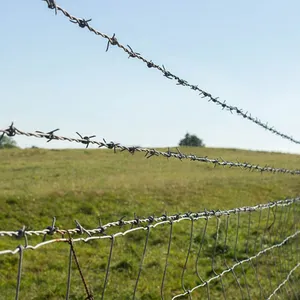High Quality Galvanized Steel Wire Mesh Barbed Wire Fence Roll Good Corrosion Resistance thumbnail-3