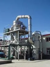 Tomato Paste MVR Evaporator for Concentration Processing thumbnail-3