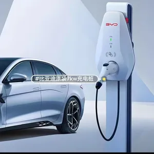 BYD Original 7kW Charging Pile thumbnail-2