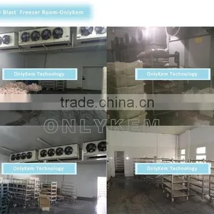 Cool Room , Cold Room Price , Cold Room for Fish Quality Choice thumbnail-6