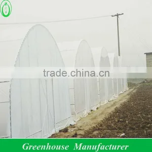 Economical Plastic Tunnel Greenhouse thumbnail-1