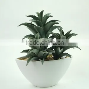 Environmental Artificial Aloe Bonsai For Decoration thumbnail-3
