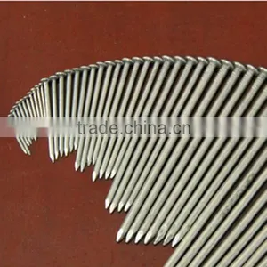 Galvanized Steel Common Nails With Factory thumbnail-2