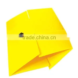 PP Plastic Corrugated Board thumbnail-2
