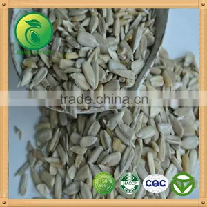 Sunflower Kernels to Sell for Food Industry thumbnail-1