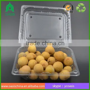 Plastic Fruit Packaging Transparent Box thumbnail-1