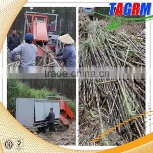 Manual Labor Save Sugarcane Leaf Peeling Machine for Sale thumbnail-1