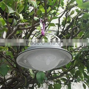 Led Hottest Solar Desk Spike Flood Garden Gardeners Choice Solar Led Lawn Garden Lamp Light thumbnail-3