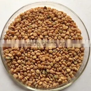 Guar Seeds thumbnail-2