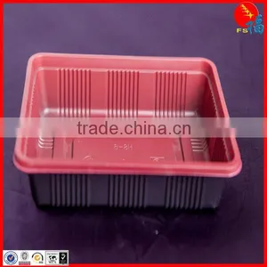 PP Material Lunch Boxes thumbnail-1