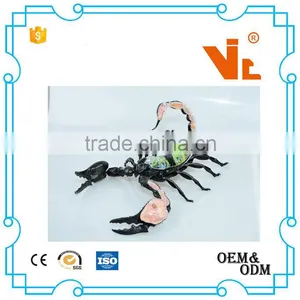 V-AM050 4D MASTER Scorpion Specimen Anatomical Model for Teaching thumbnail-1