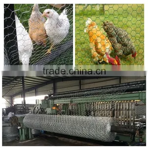 Galvanized Chicken Wire Mesh Cage thumbnail-1