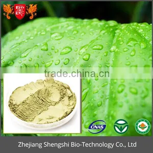 Wholesale Healthy Product Pure Natural Powder, Fresh Lotus Leaf Extract Powder thumbnail-4