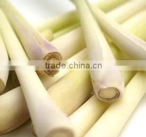 Lemongrass Essential Oil On Sale thumbnail-1