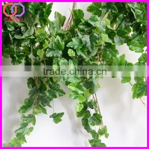 Important of Ornamental Plant thumbnail-2