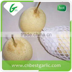 HACCP Passed. Chinese Bulk Export Fresh ya Pear thumbnail-4
