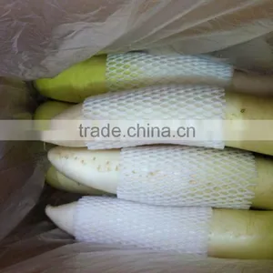 Fresh Radish Export to Maylasia thumbnail-1