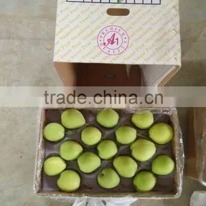 Shandong Pear thumbnail-1