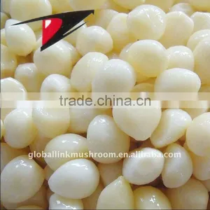 Garlic Cloves thumbnail-1