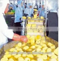 HALAL Food Canned Pineapple Slice in Heavy Syrup thumbnail-1