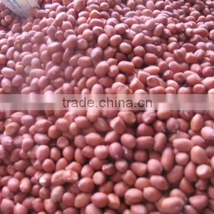 Peanut Price thumbnail-2