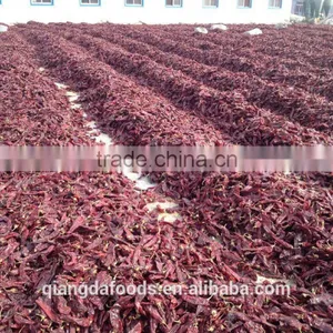 PAPRIKA CHILE thumbnail-1