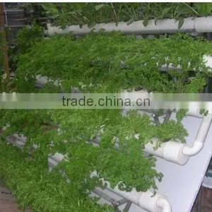 Family Gardening Service and Products thumbnail-1