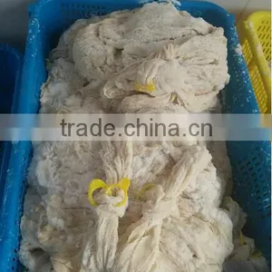 TUBED SHEEP CASINGS thumbnail-3
