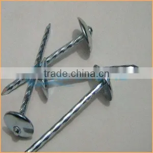 Top Quality Flat Top Yellow Coated Ring/smooth Coil Roofing Nails Trusted Chuanghe Suppliers From Com thumbnail-3