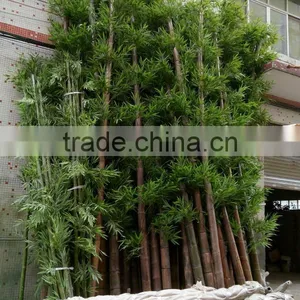 SJ030936 Bamboo Ornamental Plants Artificial Plant Artificial Bamboo Products thumbnail-3