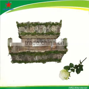 Window Birch Wood Basket With Moss thumbnail-1