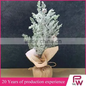 Factory High Quality Wholesale Small Decorative Pine Trees From China Supplier thumbnail-3