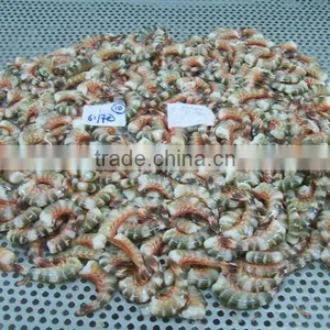 HLSO Cat Tiger Shrimps thumbnail-3