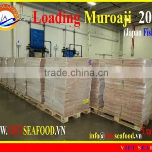 LOADING MUROAJI FOR TUNA BAIT thumbnail-1