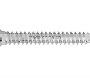 Bone Screws thumbnail-1