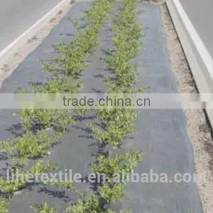 PP Woven Geotextile for Road Construction thumbnail-2