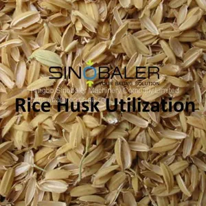 Rice Husk Utilization thumbnail-1