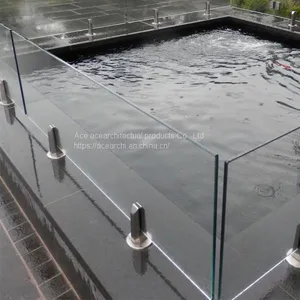 Modern Design Frameless Glass Railing Spigot for Pool Fence thumbnail-4