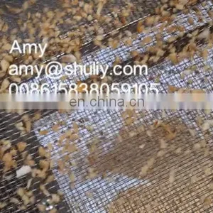 Almond Chopping Machine Chopper Machine thumbnail-1