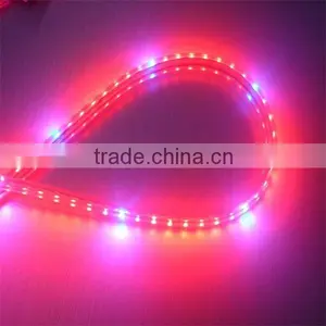 Waterproof SMD LED Strip Light Led Light Stripe thumbnail-3