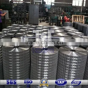 Hot-dipped Galvanized Welded Wire Mesh/Fence Mesh thumbnail-1