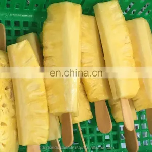 Frozen Pineapple Pattavia, Phuket (Ananas Comosus) thumbnail-3