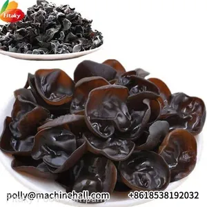 Premium Dried Black Fungus Supplier From China thumbnail-2