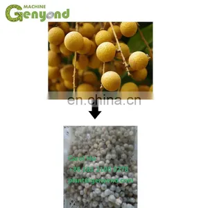 GYC Longan Nucleus Stone Core Pit Seed Remover Removing Machine thumbnail-2