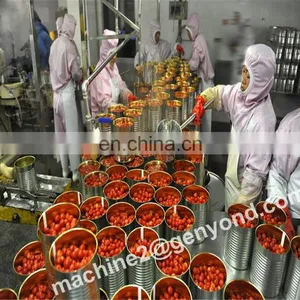 Design Drying Production Line for Fruit of Factory Price thumbnail-1
